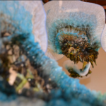 「SILK IMPACT 富岡」展示風景/「SILK IMPACT TOMIOKA」2014.1.12