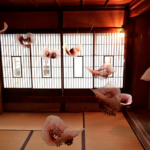 蜜の夢(赤)/2013
/Silk organdy, Wire
 中之条ビエンナーレ(積善館)