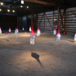 ウツル infection/2015
/Silk organdy/90×25×25cm/15 piecies