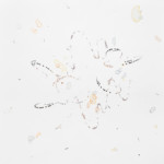 Flux (流動/流束) #6, 2019/紙に木炭、水彩、種子、ニス、60 x 60 cm