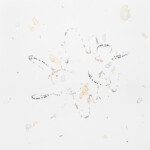 Flux (流動/流束) #6, 2019/紙に木炭、水彩、種子、ニス、60 x 60 cm