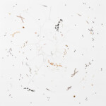 Volte (自転/輪乗り) #12, 2019/紙に木炭、色鉛筆、馬の毛、種子、ニス、34.5 x 34.5 cm