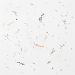 Volte (自転/輪乗り) #12, 2019/紙に木炭、色鉛筆、馬の毛、種子、ニス、34.5 x 34.5 cm